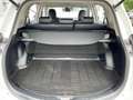Toyota RAV 4 RAV4 2.5 Hybrid Executive AHK*Navi*360KAM*DAB*SHZ Белый - thumbnail 18
