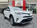 Toyota RAV 4 RAV4 2.5 Hybrid Executive AHK*Navi*360KAM*DAB*SHZ Белый - thumbnail 8