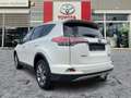 Toyota RAV 4 RAV4 2.5 Hybrid Executive AHK*Navi*360KAM*DAB*SHZ Белый - thumbnail 6