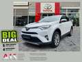 Toyota RAV 4 RAV4 2.5 Hybrid Executive AHK*Navi*360KAM*DAB*SHZ Белый - thumbnail 1