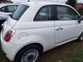 Fiat 500 Pop 69cv E6 Bianco - thumbnail 3