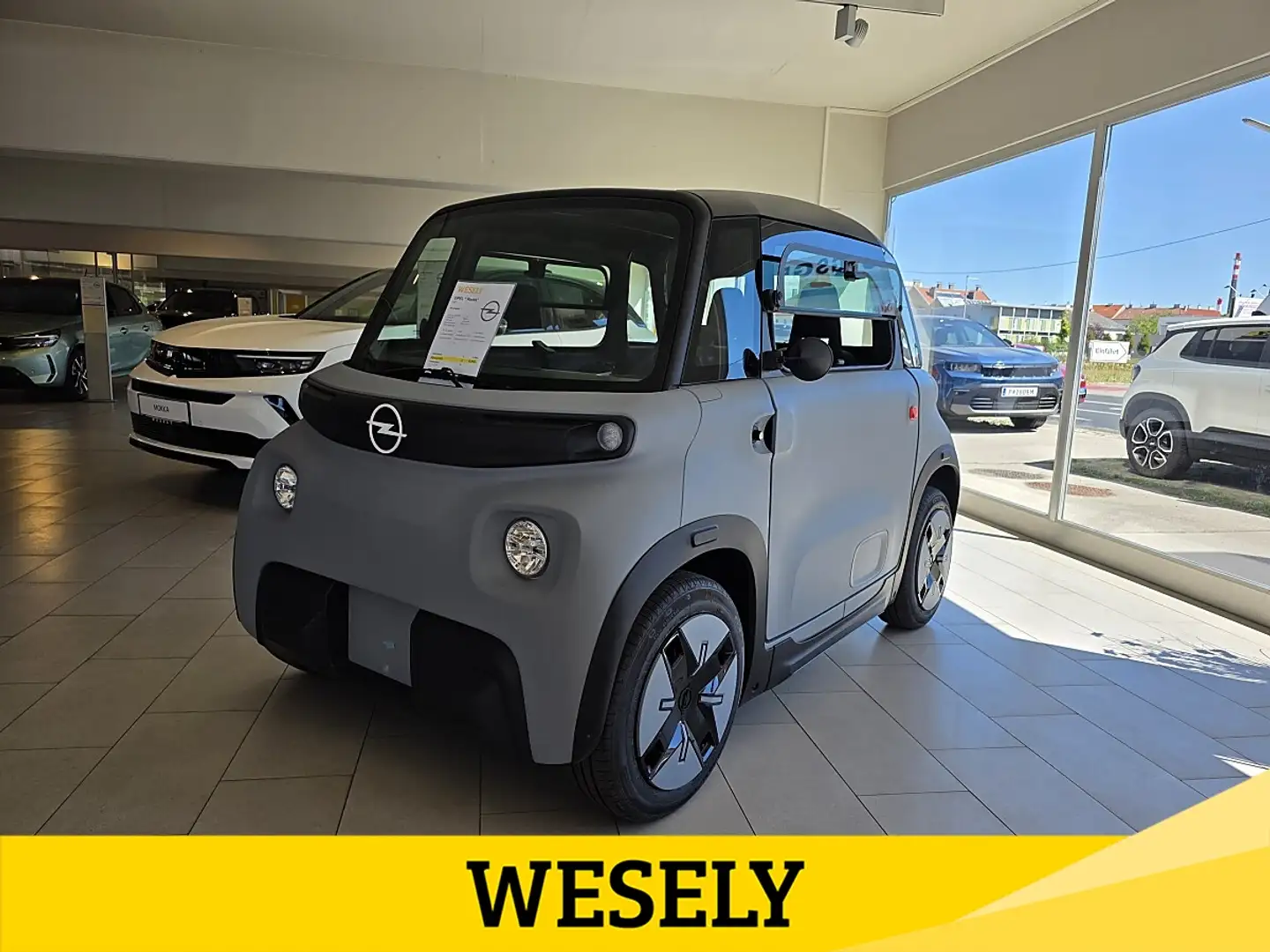 Opel Sonstige Rocks-GS Grau - 1