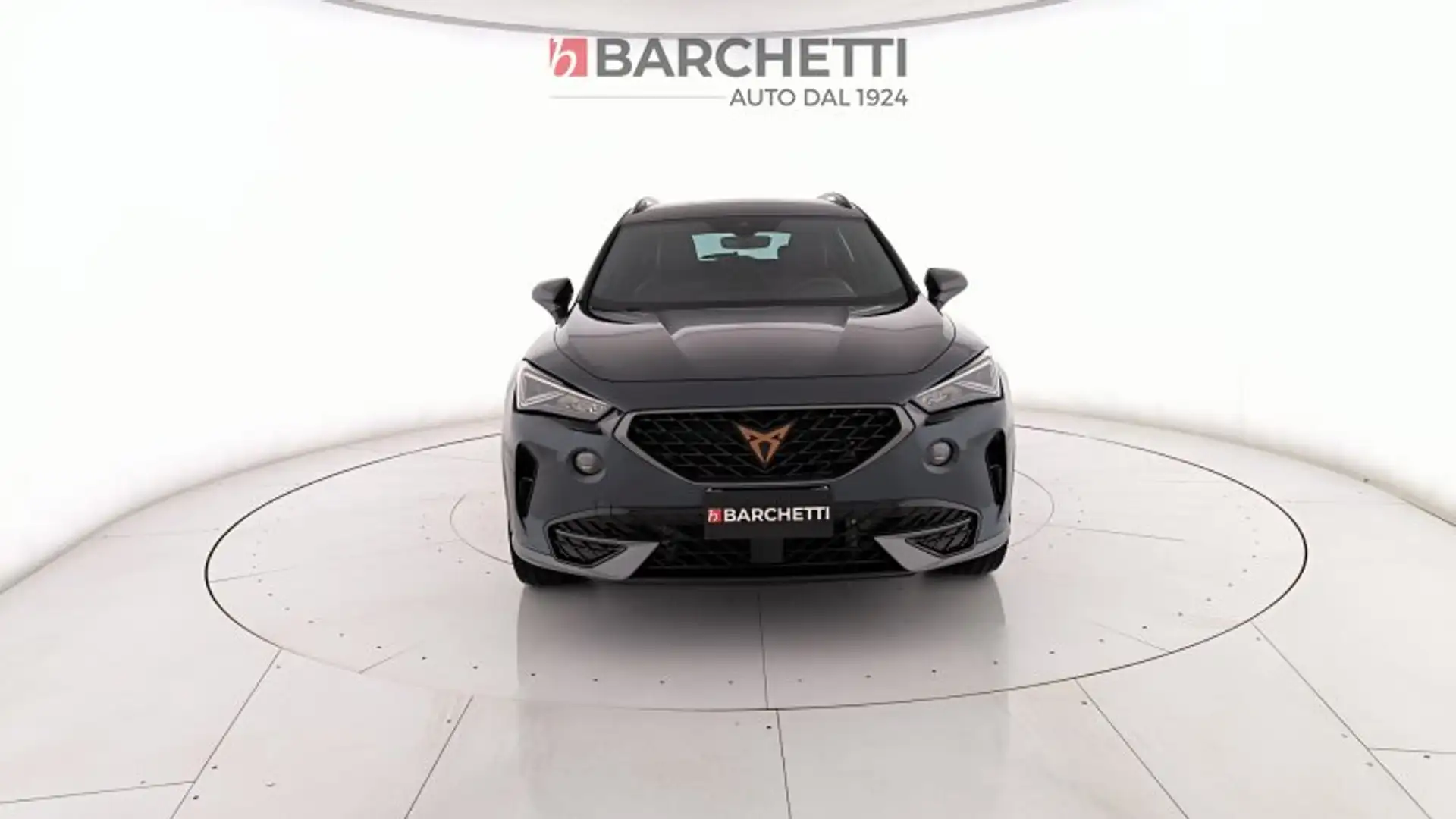CUPRA Formentor 2.0 TDI 4DRIVE DSG Grijs - 2