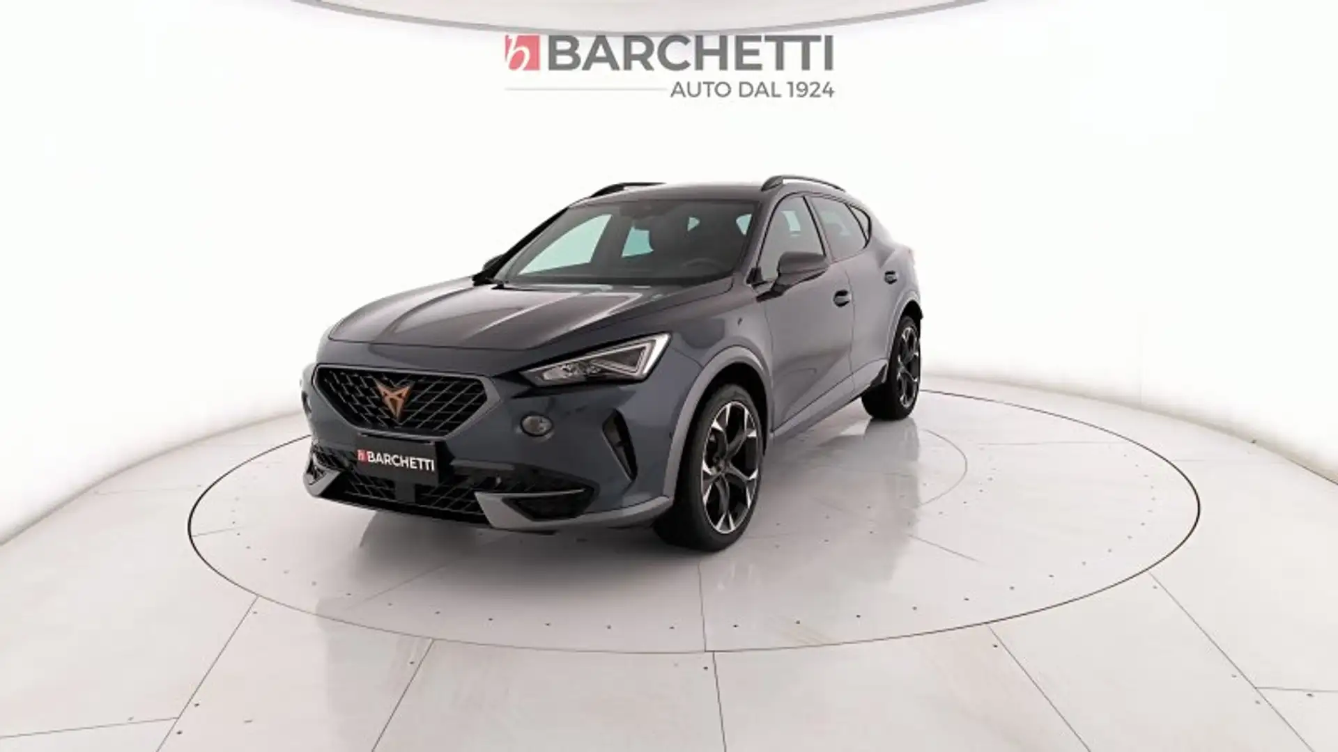 CUPRA Formentor 2.0 TDI 4DRIVE DSG Grijs - 1