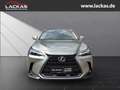 Lexus NX 350h h 243 PS Executive Inter ieur Paket + Technologie Paket Argent - thumbnail 8