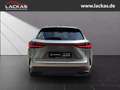 Lexus NX 350h h 243 PS Executive Inter ieur Paket + Technologie Paket Argent - thumbnail 4