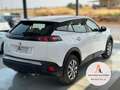 Peugeot 2008 1.5BlueHDi S&S Active 110 Blanco - thumbnail 3