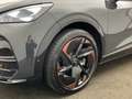 CUPRA Tavascan Endurance Adrenalin-Paket Digi-Cockpit Gris - thumbnail 6