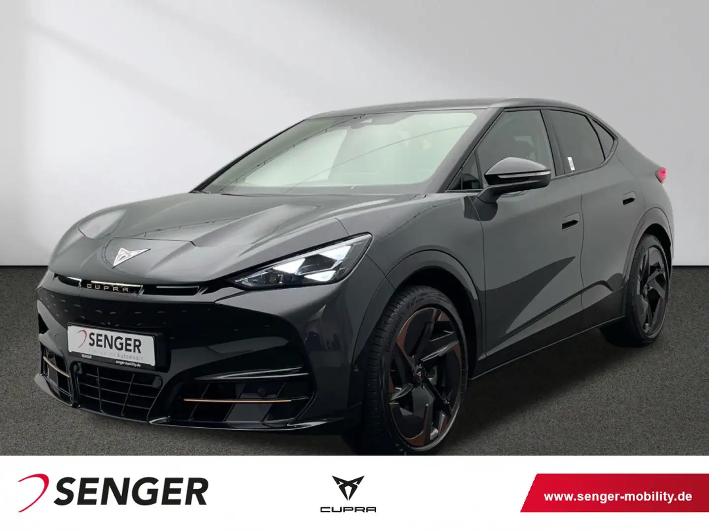 CUPRA Tavascan Endurance Adrenalin-Paket Digi-Cockpit Grau - 1
