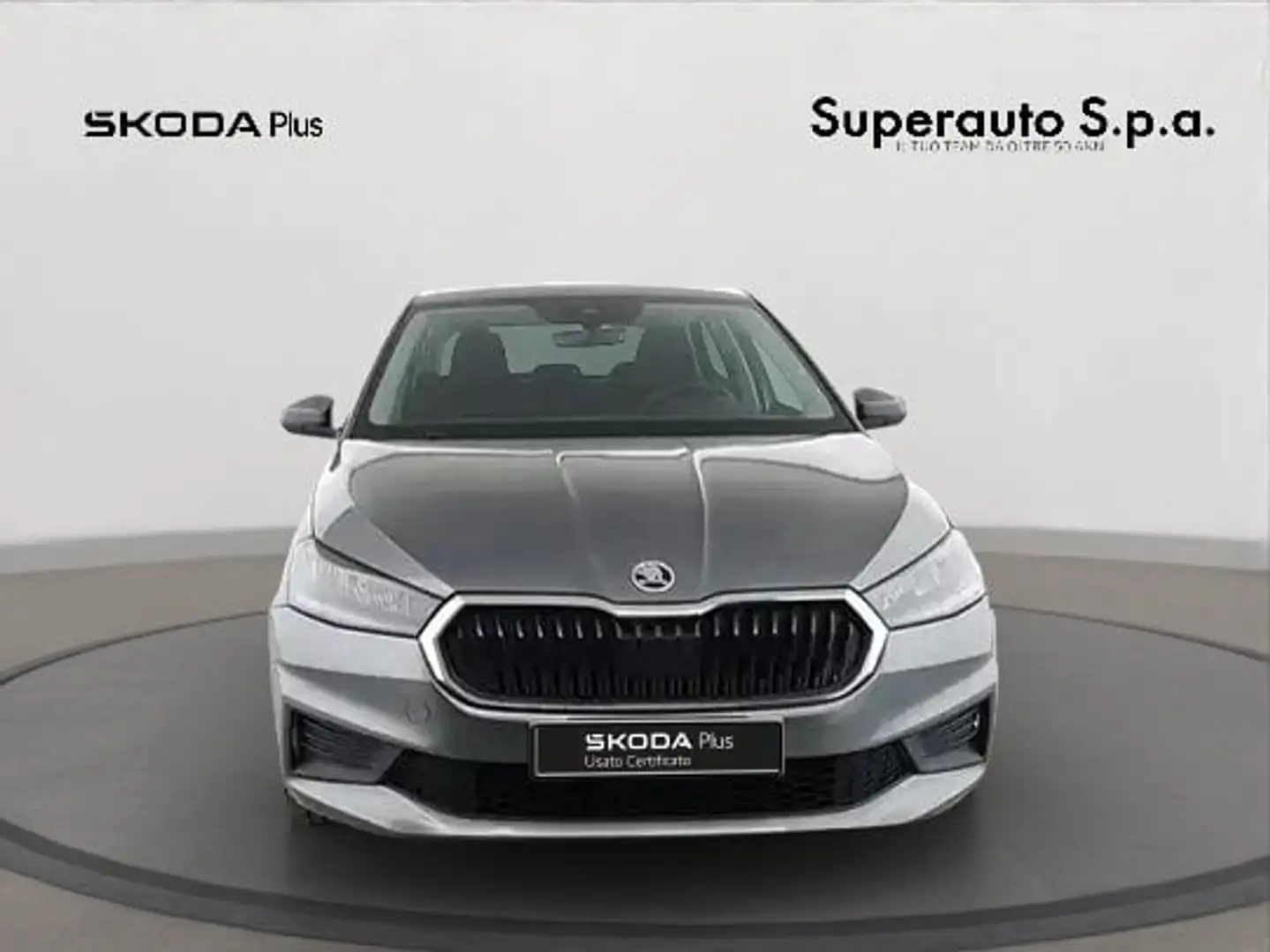 Skoda Fabia 1.0 MPI EVO 80 CV Selection Grigio - 2