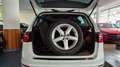 Volkswagen Golf Sportsvan GolfSportsvan/AHK/BiXen/Navi/Pano/Parkassist/Tem Weiß - thumbnail 6