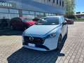 Mazda 2 1.5 m-hybrid Homura 90cv Niebieski - thumbnail 3