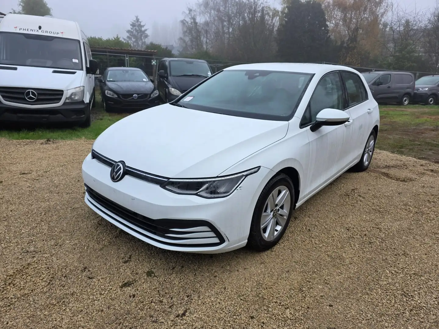 Volkswagen Golf 8 (Stock ID 90547) White - 1