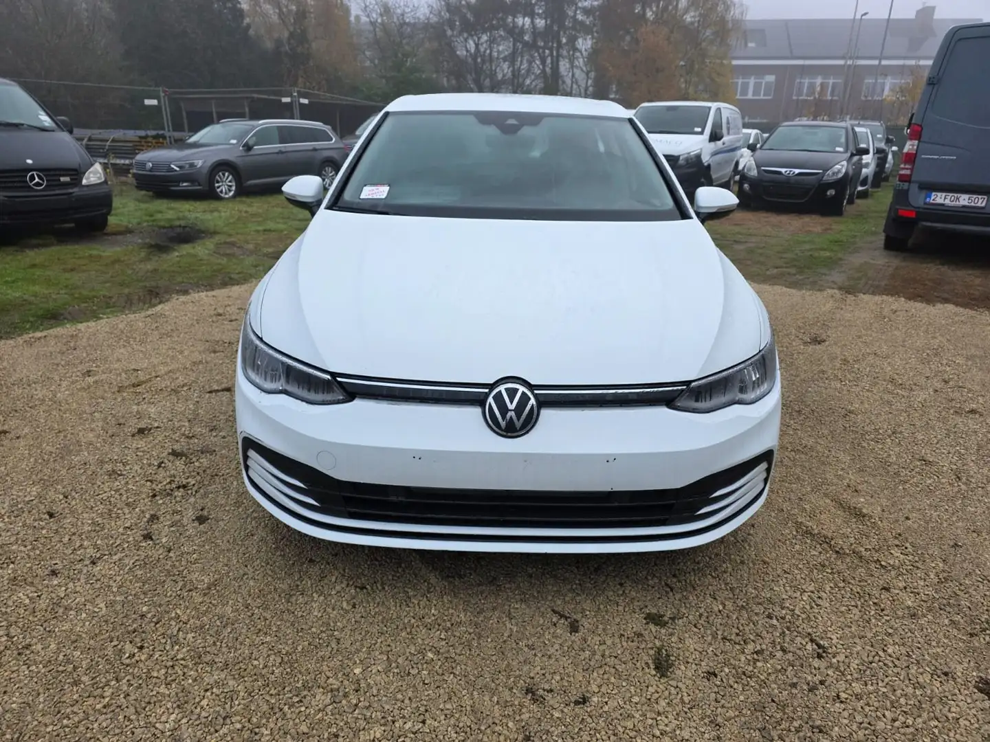 Volkswagen Golf 8 (Stock ID 90547) White - 2