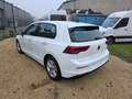 Volkswagen Golf 8 (Stock ID 90547) White - thumbnail 5