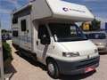 Fiat Ducato camping-car Wit - thumbnail 8