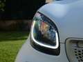 smart forTwo KM REALI==JBL==TAGLIANDI MERCEDES==CARFAX - thumbnail 2