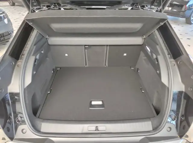 Peugeot 3008 view 9