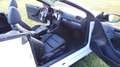 Volkswagen Golf Cabriolet Golf GTI Cabrio 2,0 DSG GTI Weiß - thumbnail 10