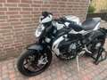 MV Agusta Dragster 800 RR Blanc - thumbnail 2