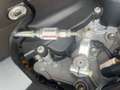 MV Agusta Dragster 800 RR Blanc - thumbnail 15
