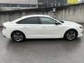 Peugeot 508 508 2,0 BlueHDi 160 EAT8 S Weiß - thumbnail 6