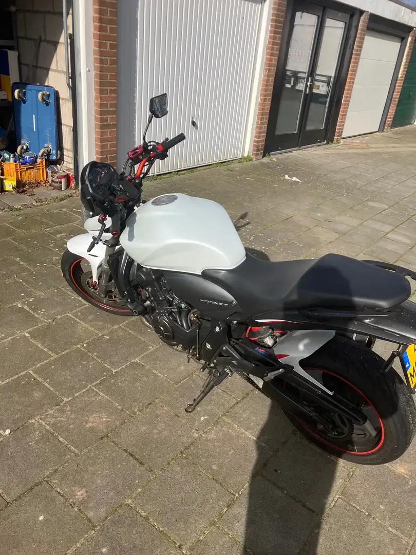 Honda CB 600 Blanco - 2