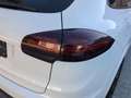 Porsche Cayenne 3.0 Bose~Pano~TopZustand~PorscheScheckh. - thumbnail 9