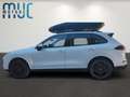 Porsche Cayenne 3.0 Bose~Pano~TopZustand~PorscheScheckh. - thumbnail 6