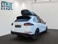 Porsche Cayenne 3.0 Bose~Pano~TopZustand~PorscheScheckh. - thumbnail 4