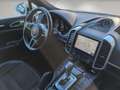 Porsche Cayenne 3.0 Bose~Pano~TopZustand~PorscheScheckh. - thumbnail 19