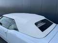 Cadillac Fleetwood 6 EL 47 Eld. Convertible Wit - thumbnail 25