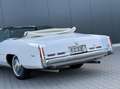 Cadillac Fleetwood 6 EL 47 Eld. Convertible Wit - thumbnail 14