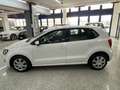 Volkswagen Polo 5p 1.4 Comfortline bi-fuel Blanco - thumbnail 2