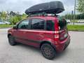 Fiat Panda 1.2 4x4*Neopatentati*Solo 68000km* Rosso - thumbnail 9