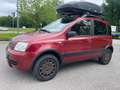 Fiat Panda 1.2 4x4*Neopatentati*Solo 68000km* Rosso - thumbnail 2