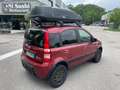 Fiat Panda 1.2 4x4*Neopatentati*Solo 68000km* Rosso - thumbnail 7