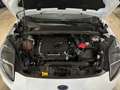 Ford Puma Puma II 1.5 ecoboost ST Performance Pack Bianco - thumbnail 14