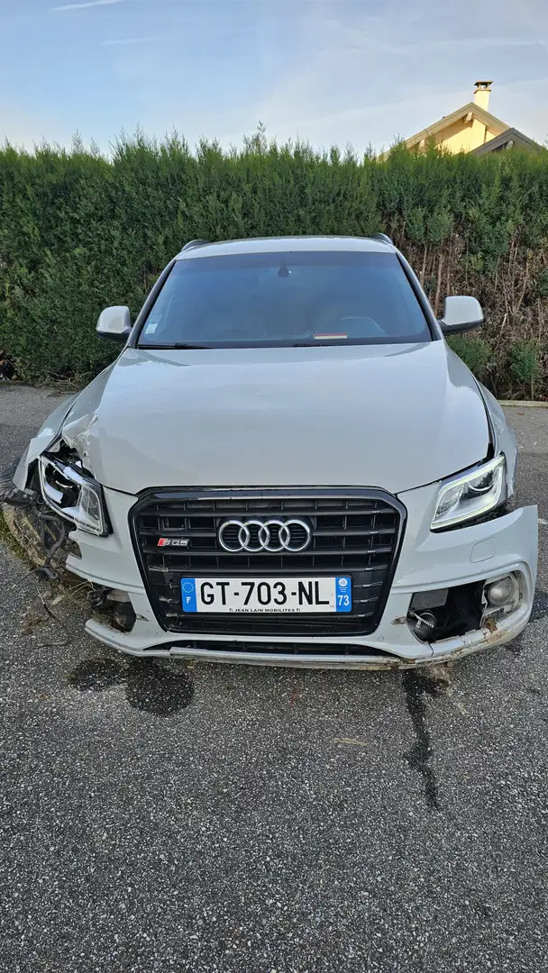 Audi SQ5 SQ5 V6 3.0 BiTDI 313 Quattro Tiptronic 8 - 1