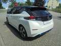 Nissan Leaf 40kWh Tekna 360° Kamera, LED Paket, Winterpaket Weiß - thumbnail 6