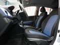 Hyundai i10 1.0 Aut. | KLIMA | SITZHZG | ALLWETTERREIFEN Weiß - thumbnail 12