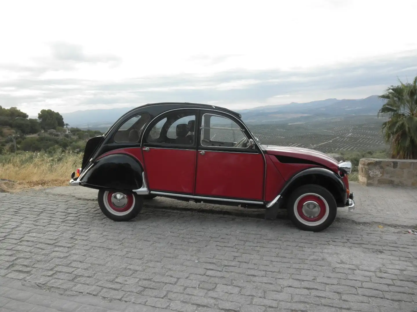 Citroen 2CV Rojo - 2