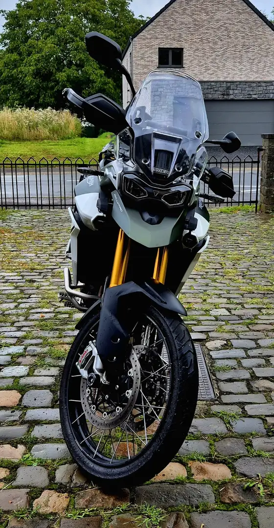 Triumph Tiger 900 Rallye PRO Groen - 2