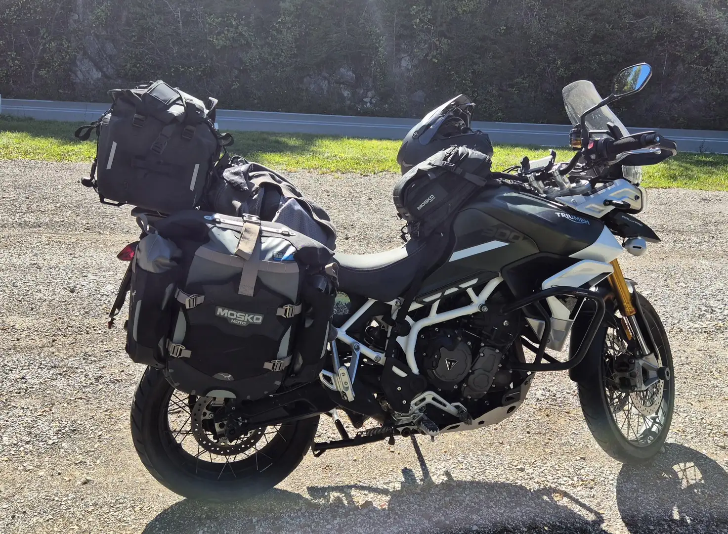 Triumph Tiger 900 Rallye PRO Vert - 1