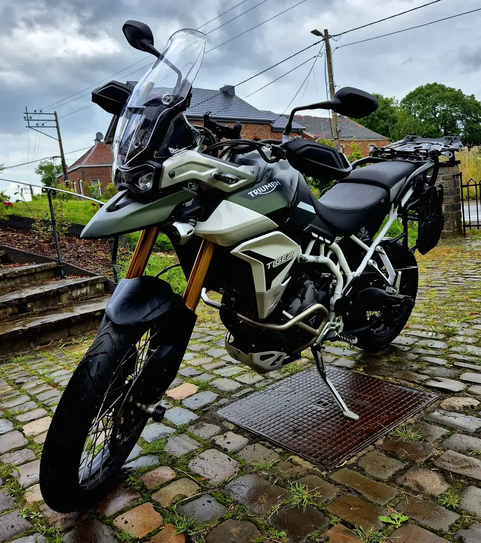 Triumph Tiger 900 Rallye PRO Groen - 1