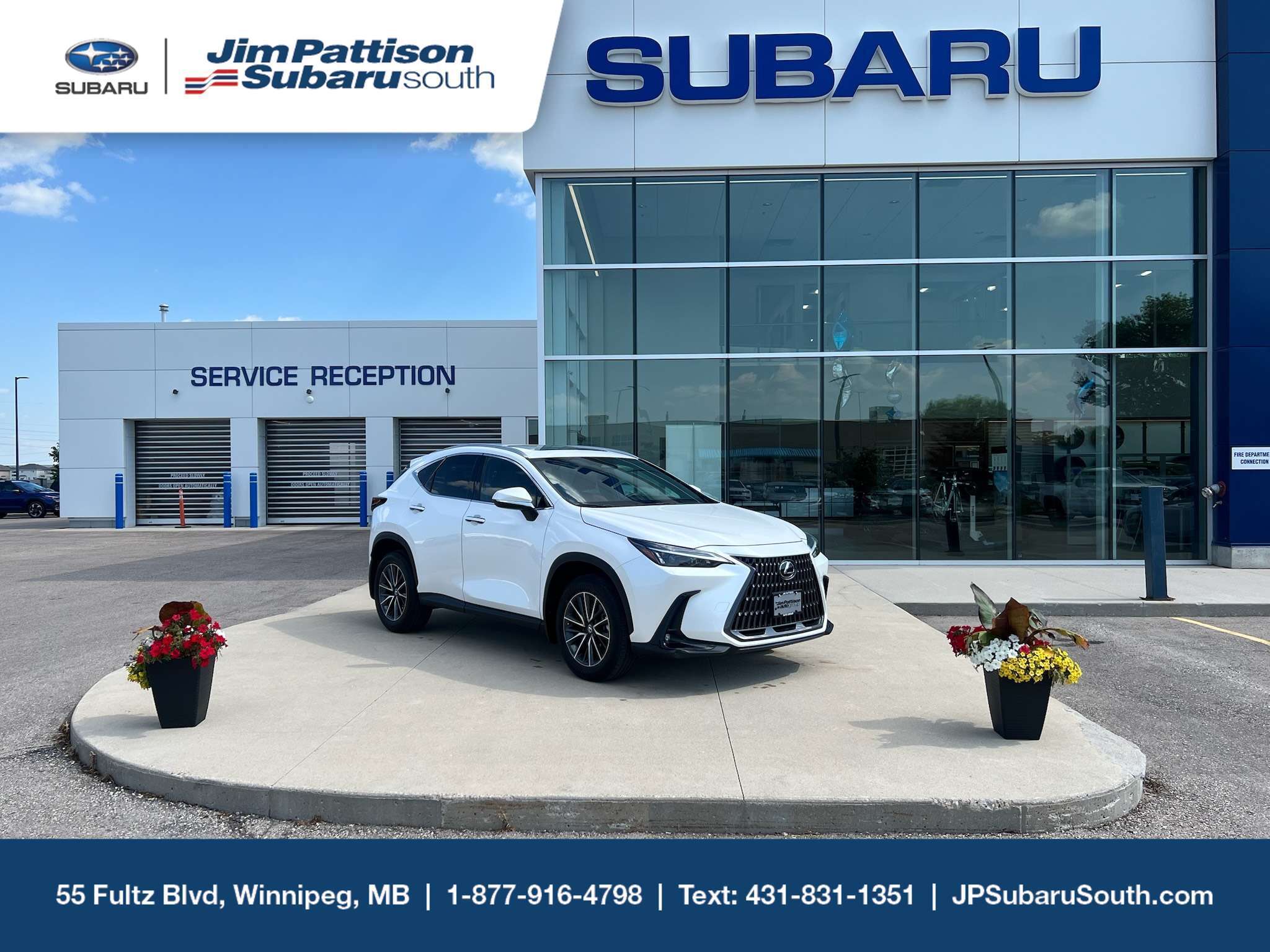 2025 Lexus NX 350 Premium AWD