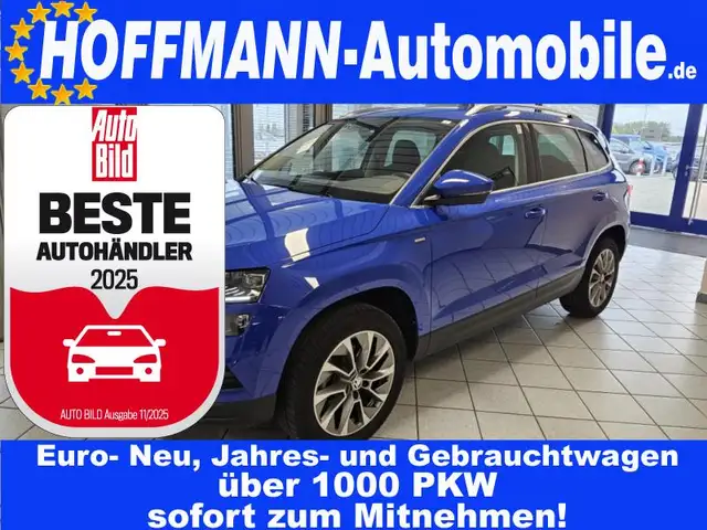 Skoda Karoq Clever Smart-Link,LED,Sitzheizung,PDC