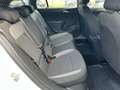 Opel Astra Sports Tourer 1.2 Edition 50% deal 5.375,- ACTIE T Wit - thumbnail 33