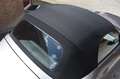BMW Z4 Roadster 2.5i S '03 Leder Clima Cruise Inruil moge Gri - thumbnail 14