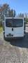 Renault Trafic 1,9 dCi, 115Tkm Weiß - thumbnail 4